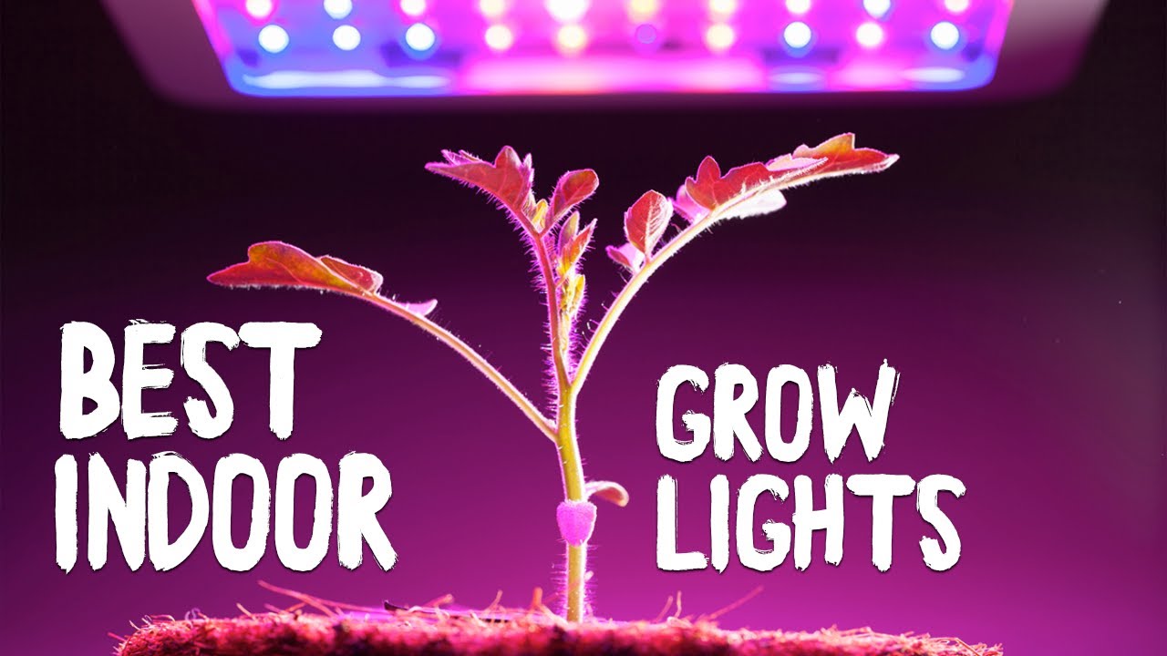 Best Indoor Grow Lights Of 2020