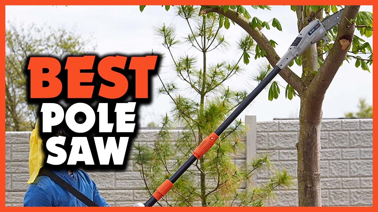 ✅5 Best Battery Powered Pole Saw of 2025
