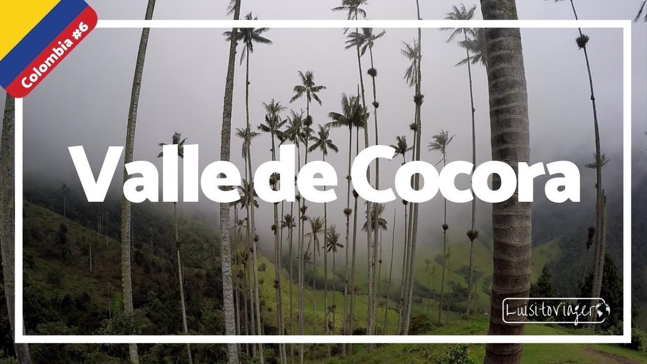 Valle de Cocora, las PALMAS mas altas del MUNDO!!! REALIDAD que parece FANTASÍA- Colombia #6
