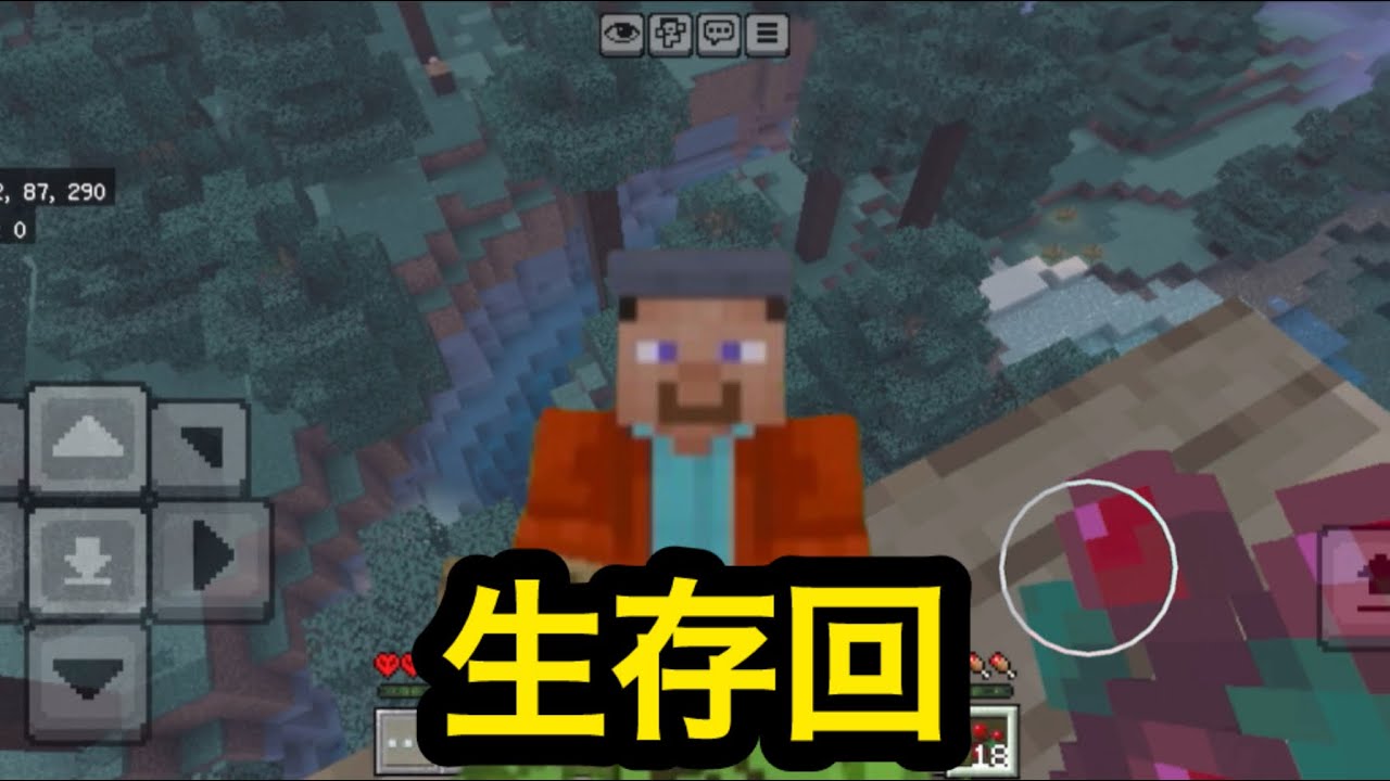 【初心ドラ:#3】生存回！もう次はない...慎重なマイクラ