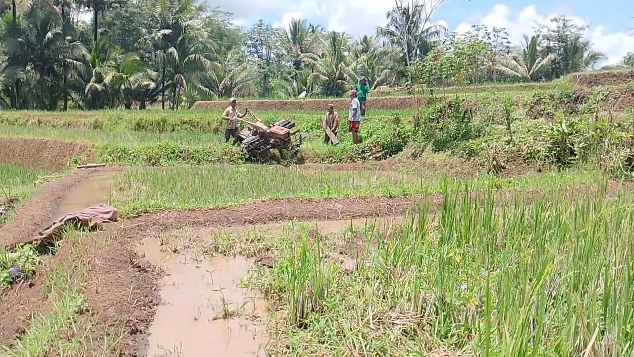 Yanmar lotari,lahan lereng gunung 