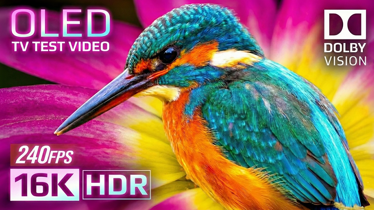MIND BLOWING HDR 8K 120FPS Video Perfect for 4K HDR / 8K HDR TV - Dolby Vision™