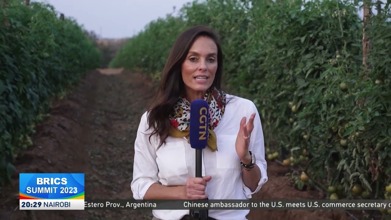 Agriculture features as a main topic at BRICS Summit