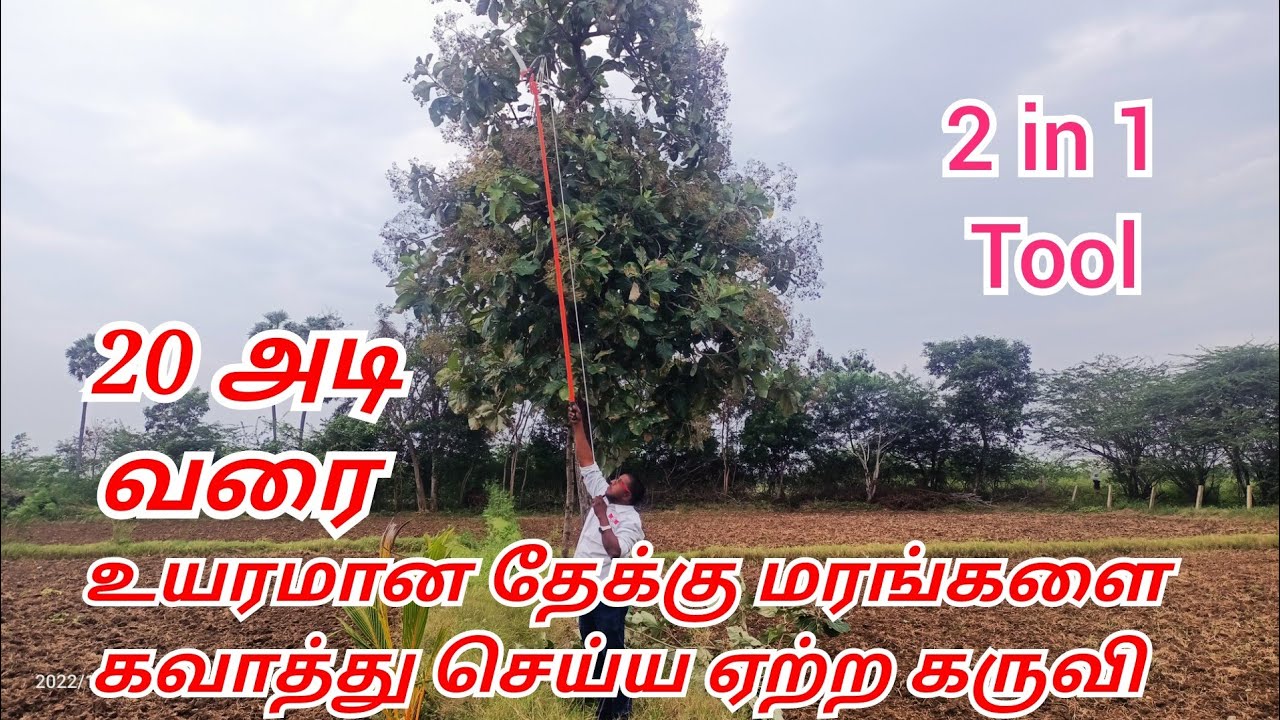 உயரமான மரங்களை கவாத்து செய்யும் கருவி  Tool for guarding tall trees  Tree pruning long lopper