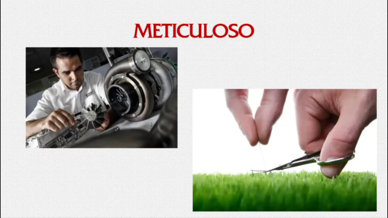 Meticuloso
