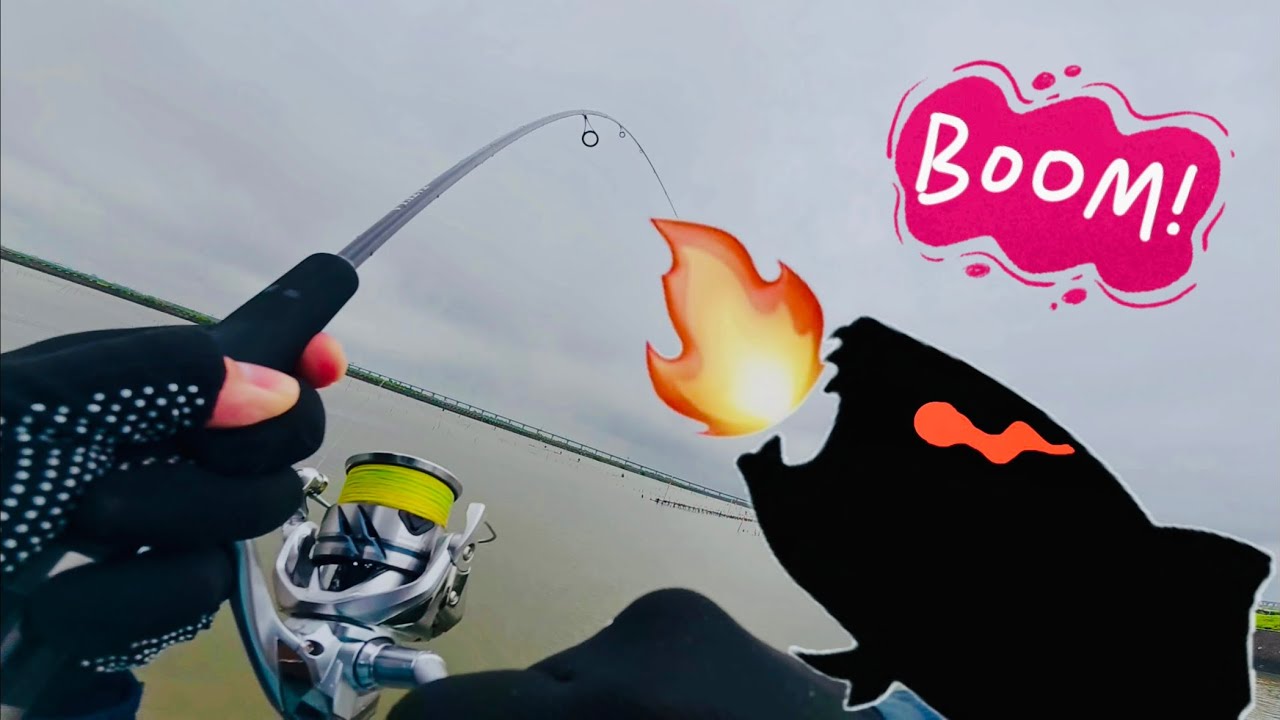 台南網紅推薦點根魚 斤級爆衝巨物來襲！#fishing #lure #lurefishing #釣り #釣魚 #路亞 #shimano #daiwa #黑格 #紅槽 #石斑魚 #鱸魚 #海鰱 #大魚 