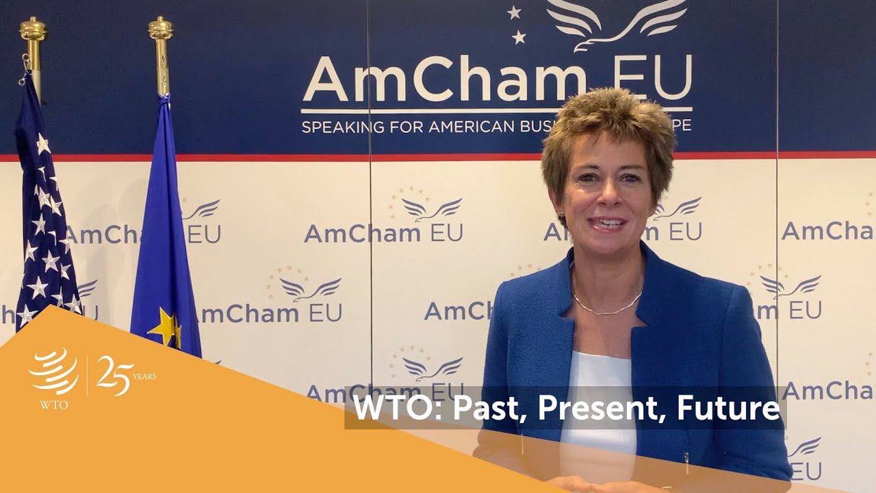 WTO at 25: AmCham EU