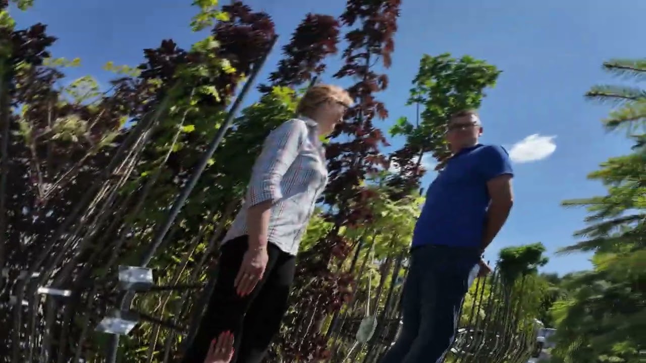 Ewa  i Krzysztof o Klonach