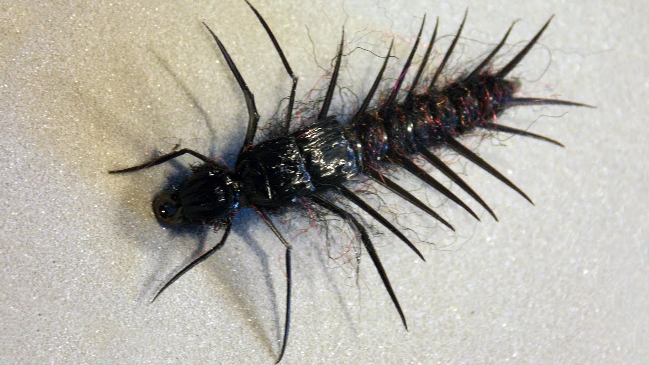 Hellgrimmite biot version fly tying instructions