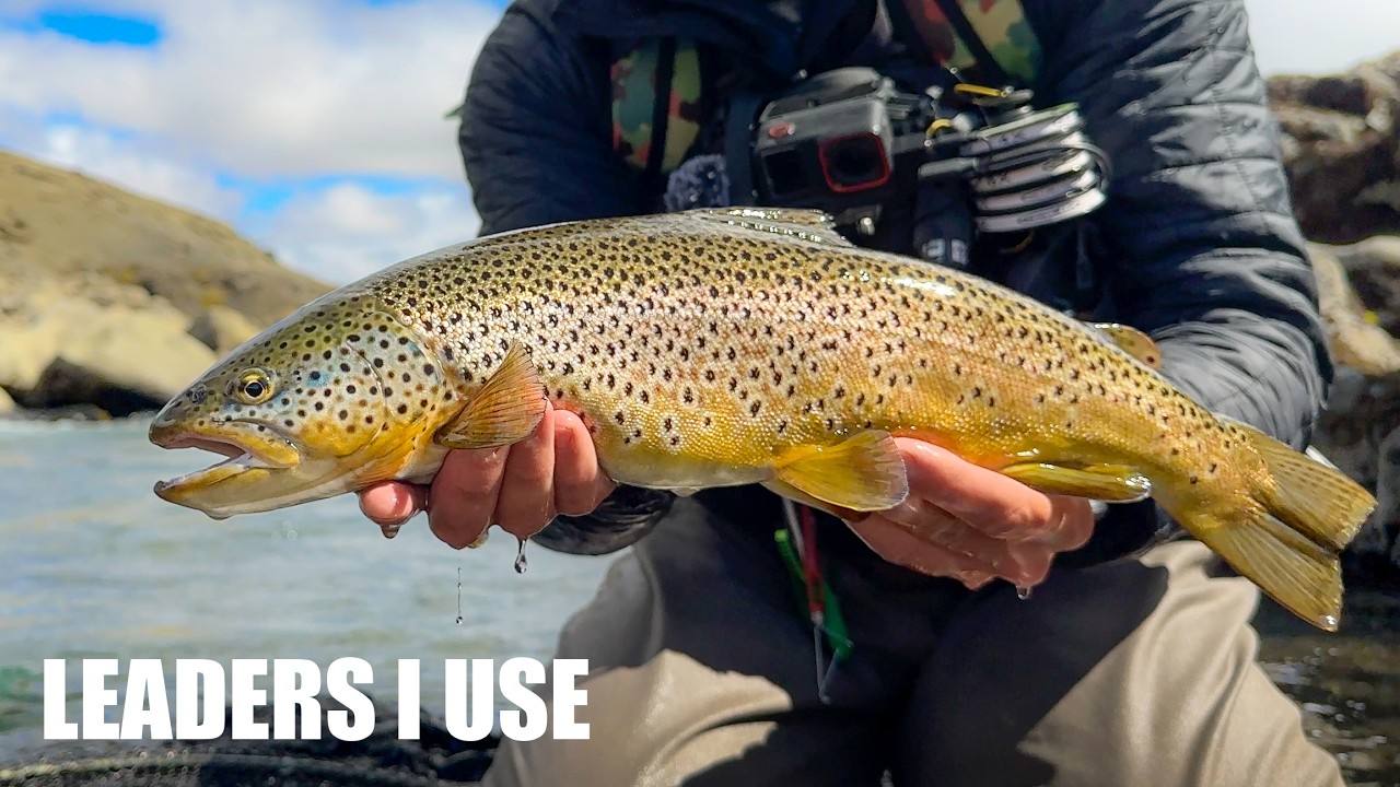 Leaders for Fly Fishing - Ultimate Guide. Trout, Salmon, Char, Pike, Grayling....