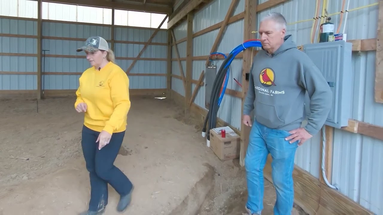 Building a Wash & Pack Shed Part 5: Plumbing and Electric