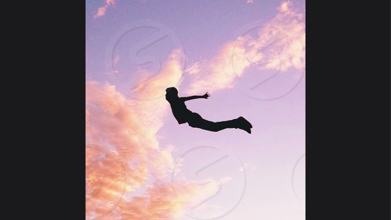 Fly