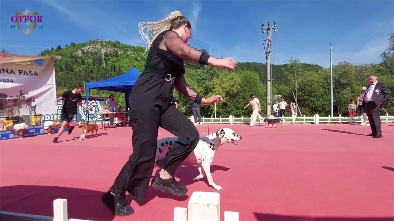 Izložba pasa Široki Brijeg 14.04.2024.
