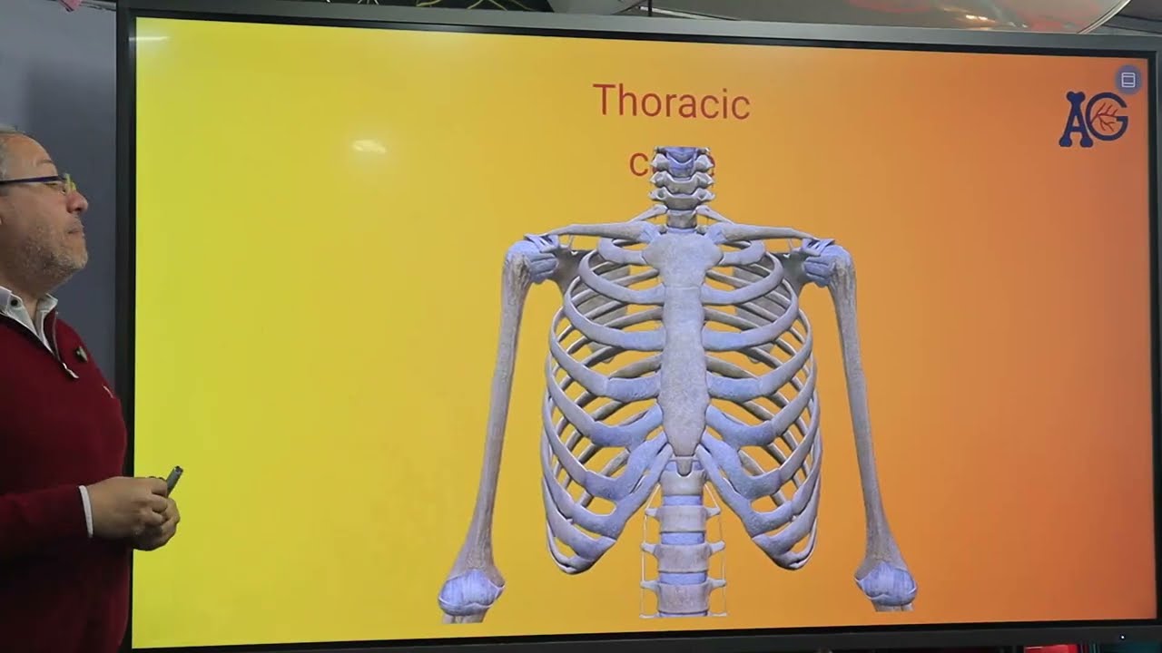 lec 1 Anatomy 104  Dr. Ahmed Galal