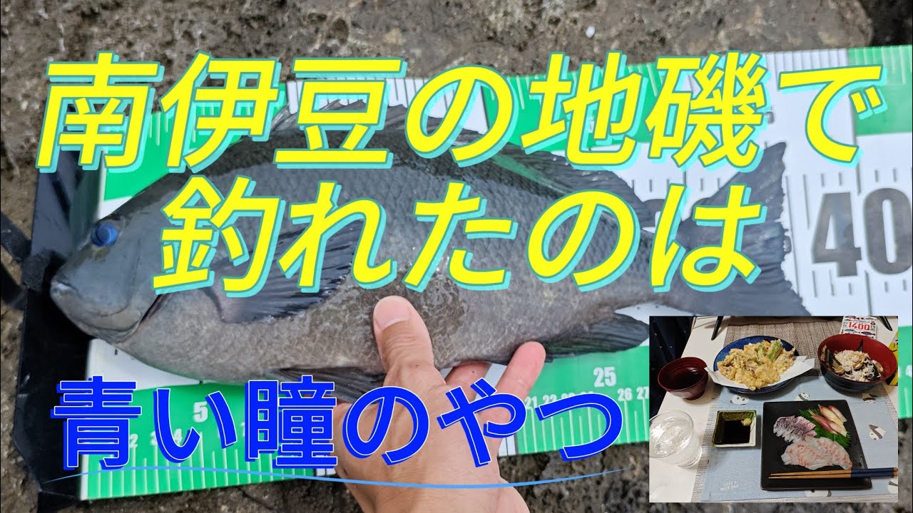 梅雨の晴れ間に地磯で釣れたのは....