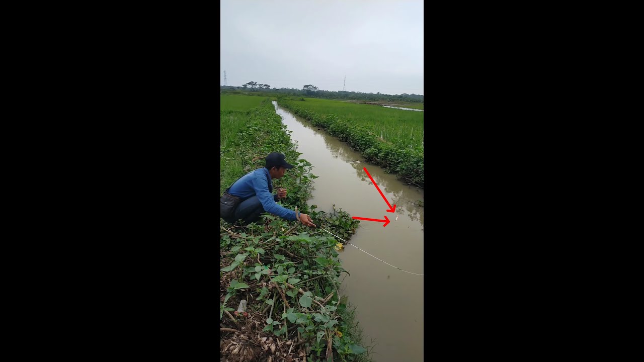 Full strike mancing wader sirip merah ‼️