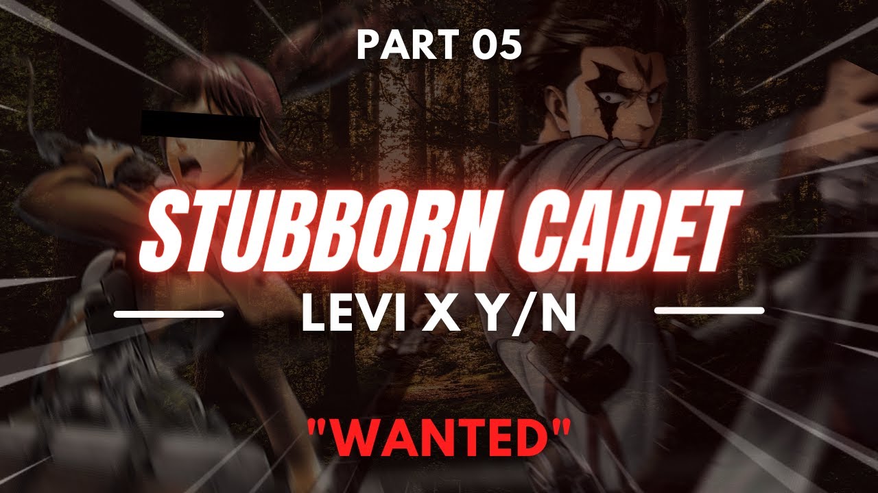 Stubborn Cadet - Pt 5 || LEVI X Y/N | 