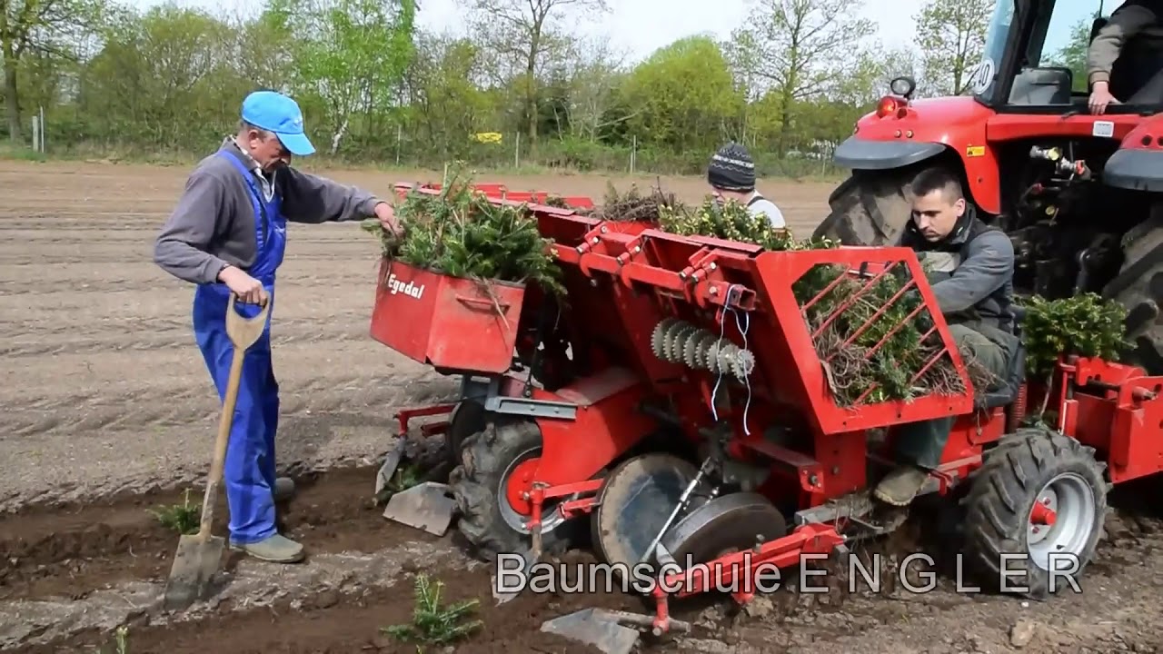 Pflanzmaschine im Einsatz