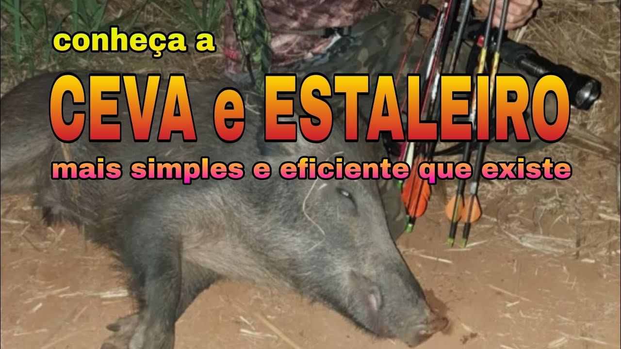 Ceva e Estaleiro simples para javalis - nunca foi tão fácil encontrar uma porcada de respeito