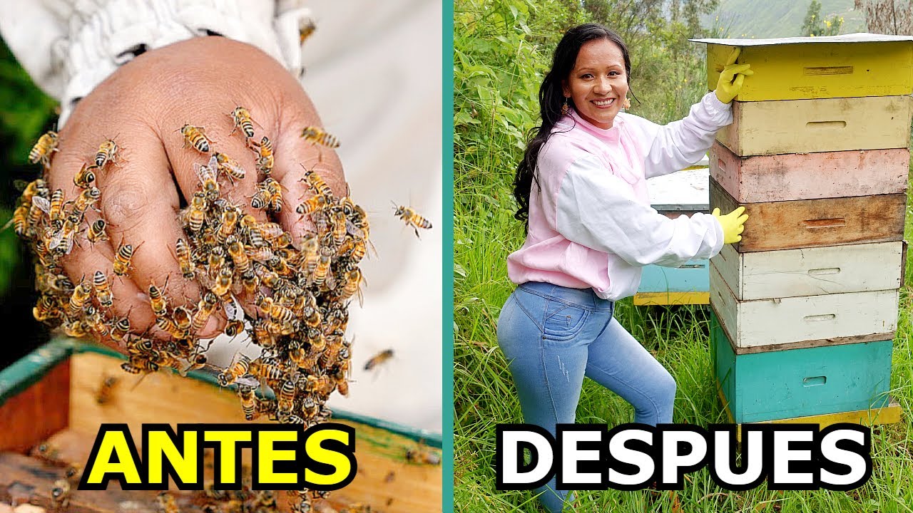 Convertiré un puñado de abejas ✊ en una colmena gigante 😱