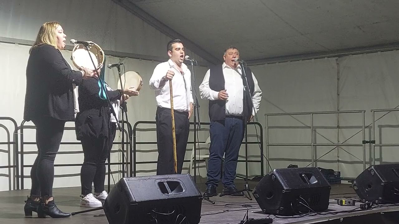 Alegría Cántabra. Ganados tudancos. Festival de folklore, Limpias 2024