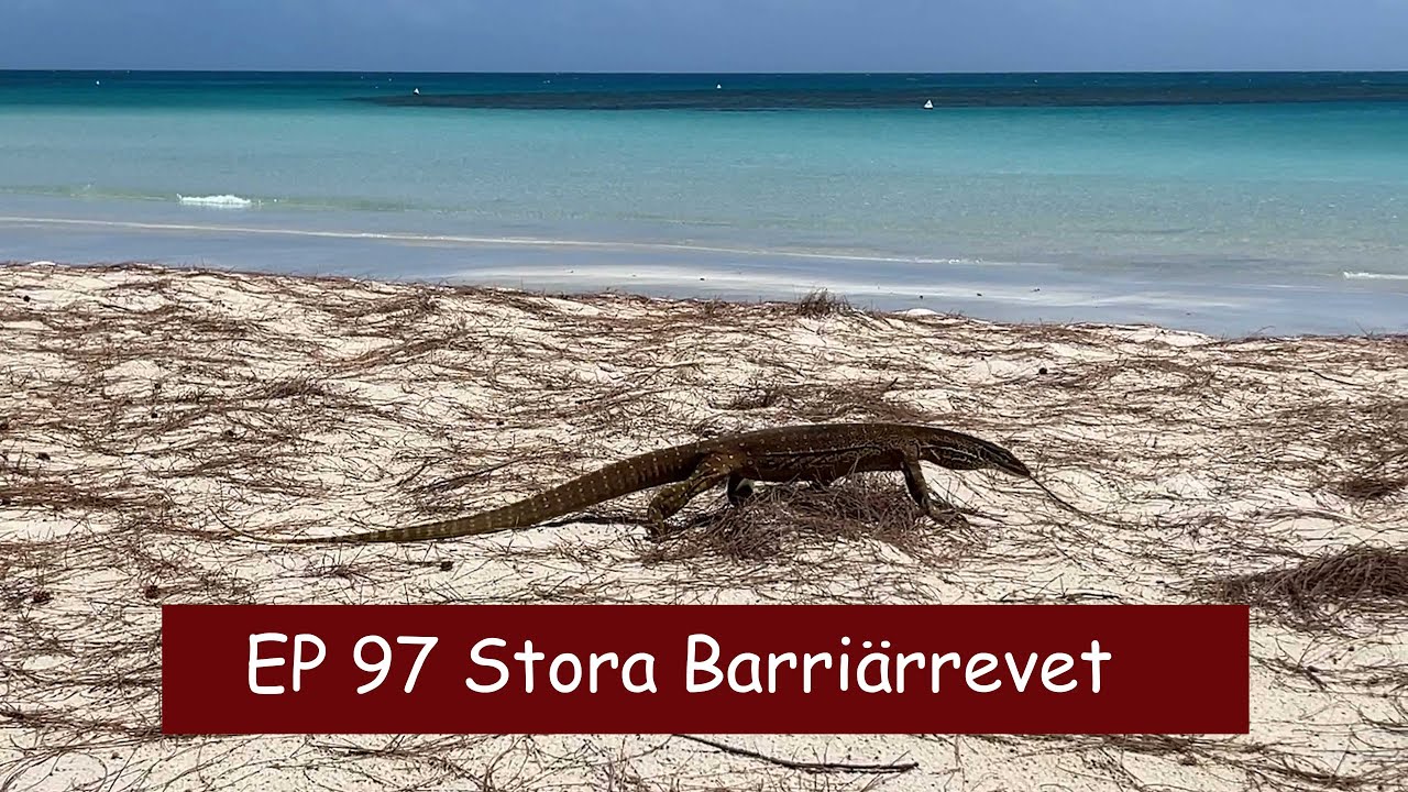 Ep 97 Längst Stora Barriärrevet
