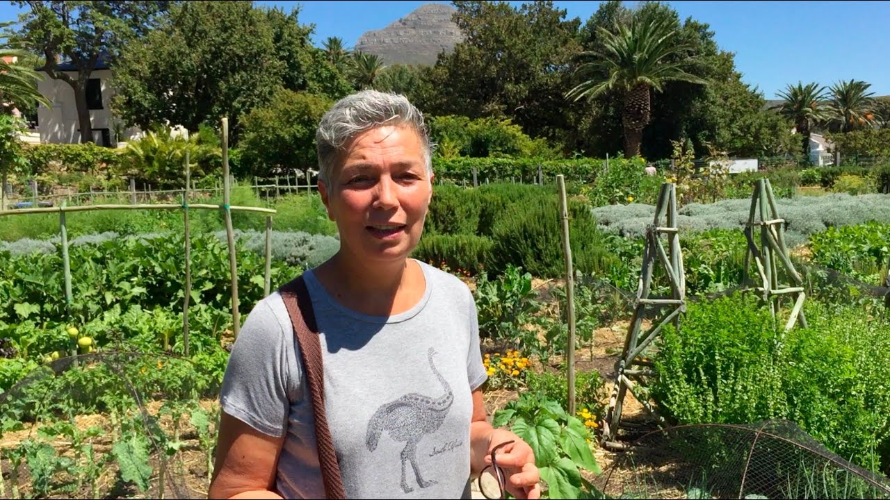 Rod Suskins World: Sheryl Ozinsky at the Oranjezicht City Farm