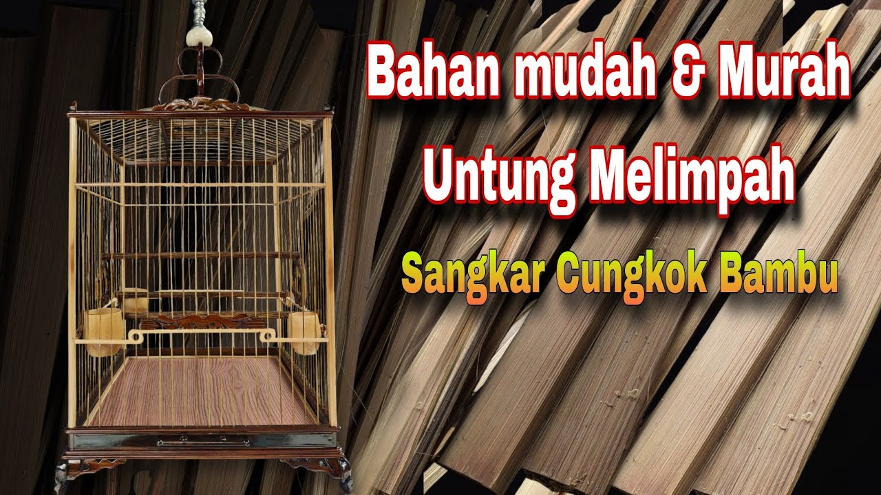 Membuat Sangkar Burung ISTIMEWA dari Bambu👍Pemula wajib Coba‼️