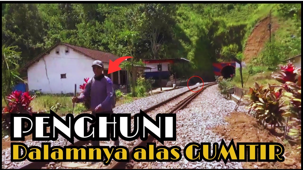 Kehidupan TERSEMBUNYI Di Hutan Mistis ALAS GUMITIR