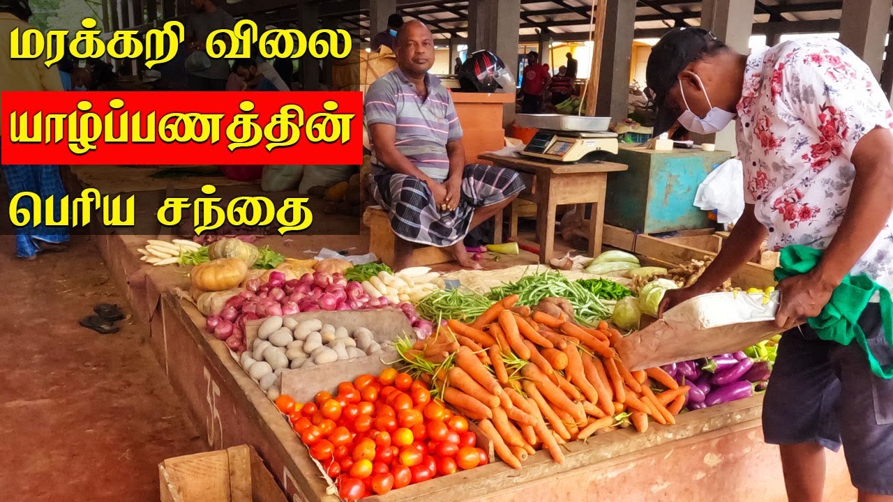 அதிக விலையில் மரக்கறிகள் மருதனார்மடம் சந்தை  | vegetable market  | Jaffna  youtubers | Tamil  Vlog