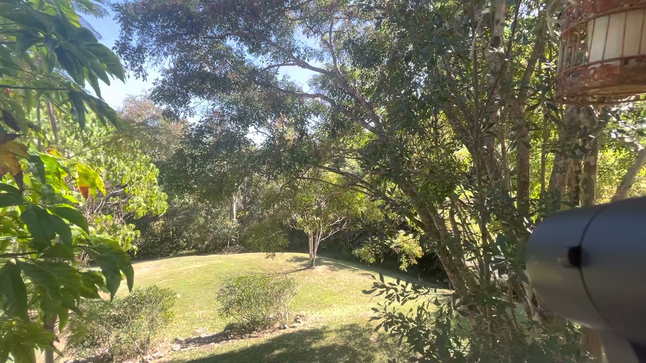 79 Eulinga Court, Ninderry