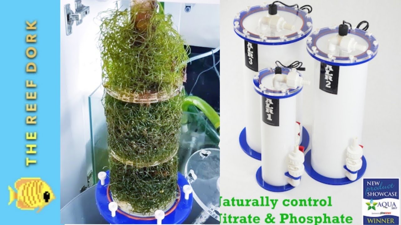 ALR1 Algae Reactor Long Term Review