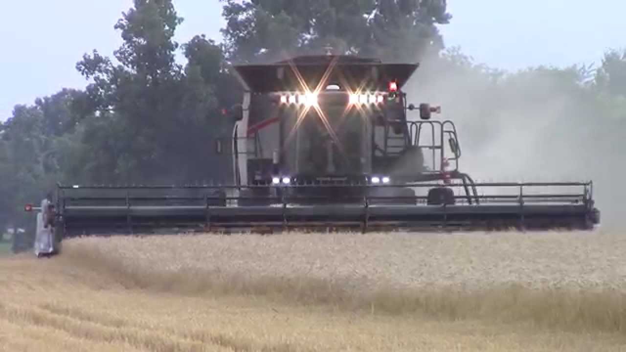 Gleaner S78 Harvesting Wheat