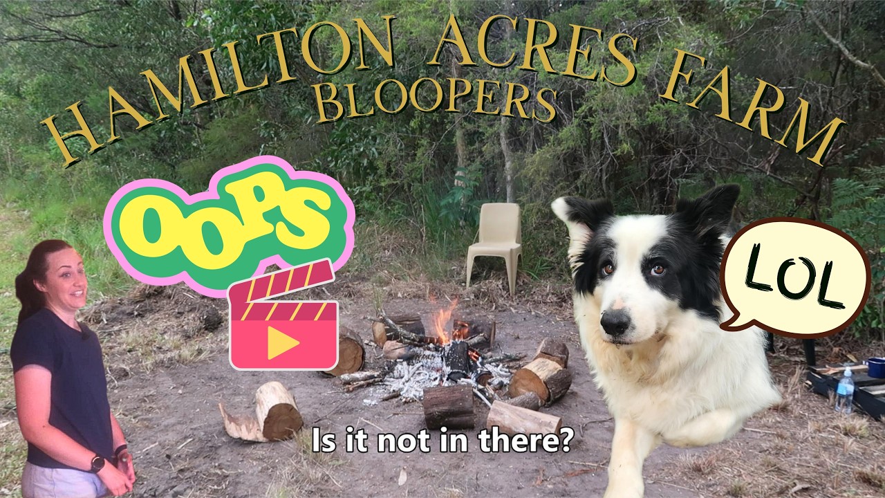 Damper Bloopers