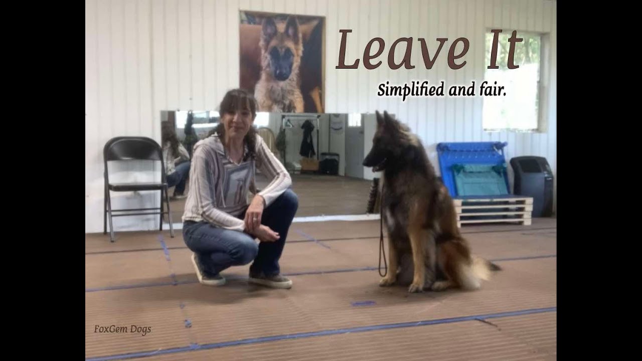 Leave It