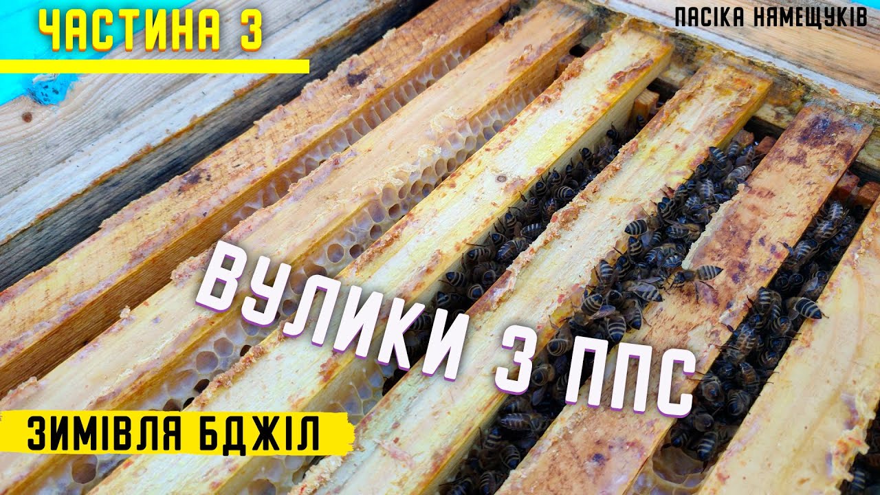 Зимівля бджіл. ППС вулики. Частина 3
