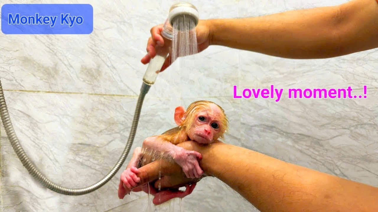 So sweet! Little monkey BuNa relaxes in the bath… while Kyo enjoys the quiet! 💕