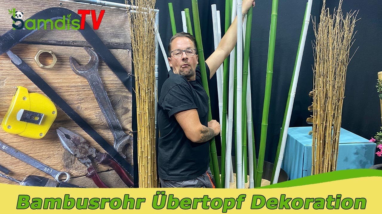 Bambusrohre im &Uuml;bertopf: dekorativ und zeitlos 🎋