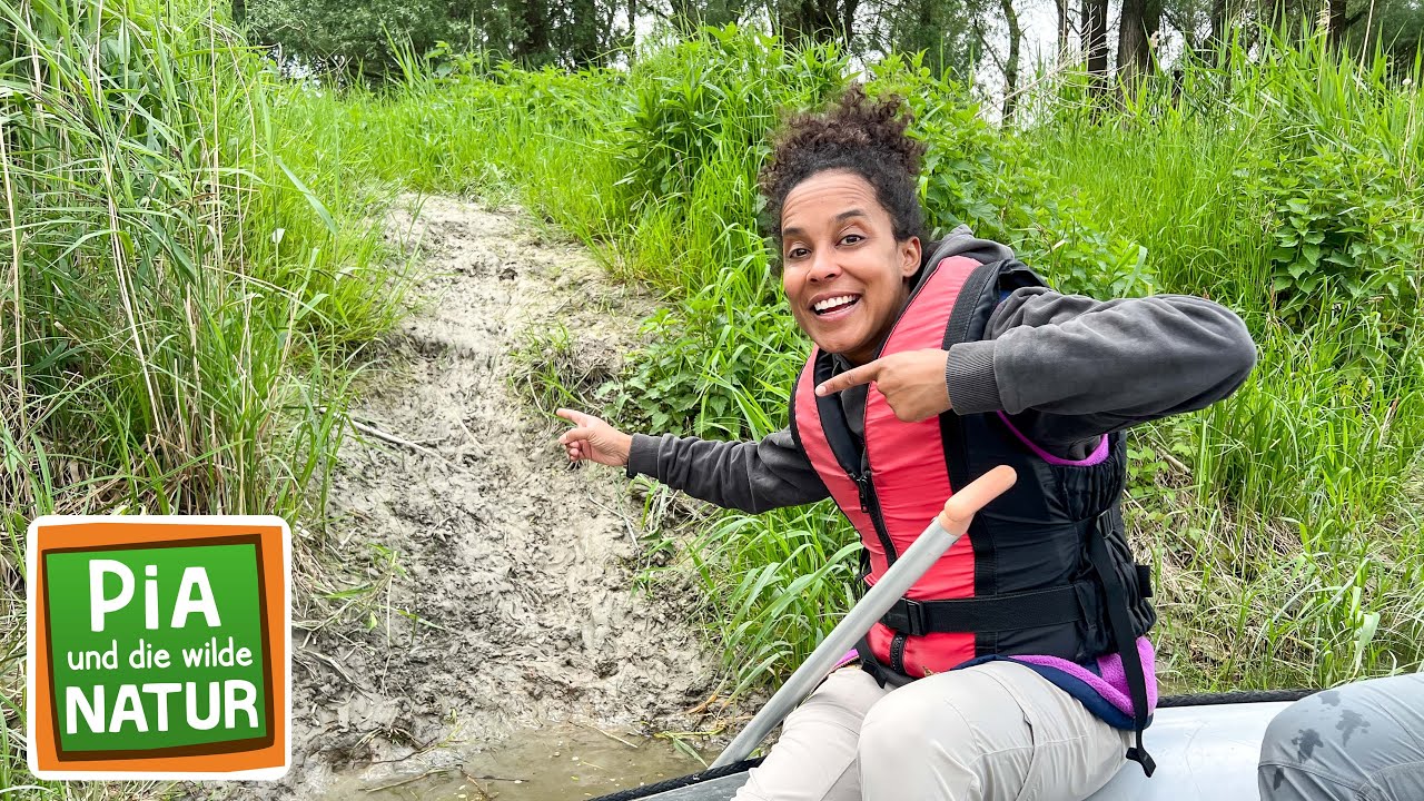 Spurensuche in den Flussauen | Reportage für Kinder | Pia und die wilde Natur