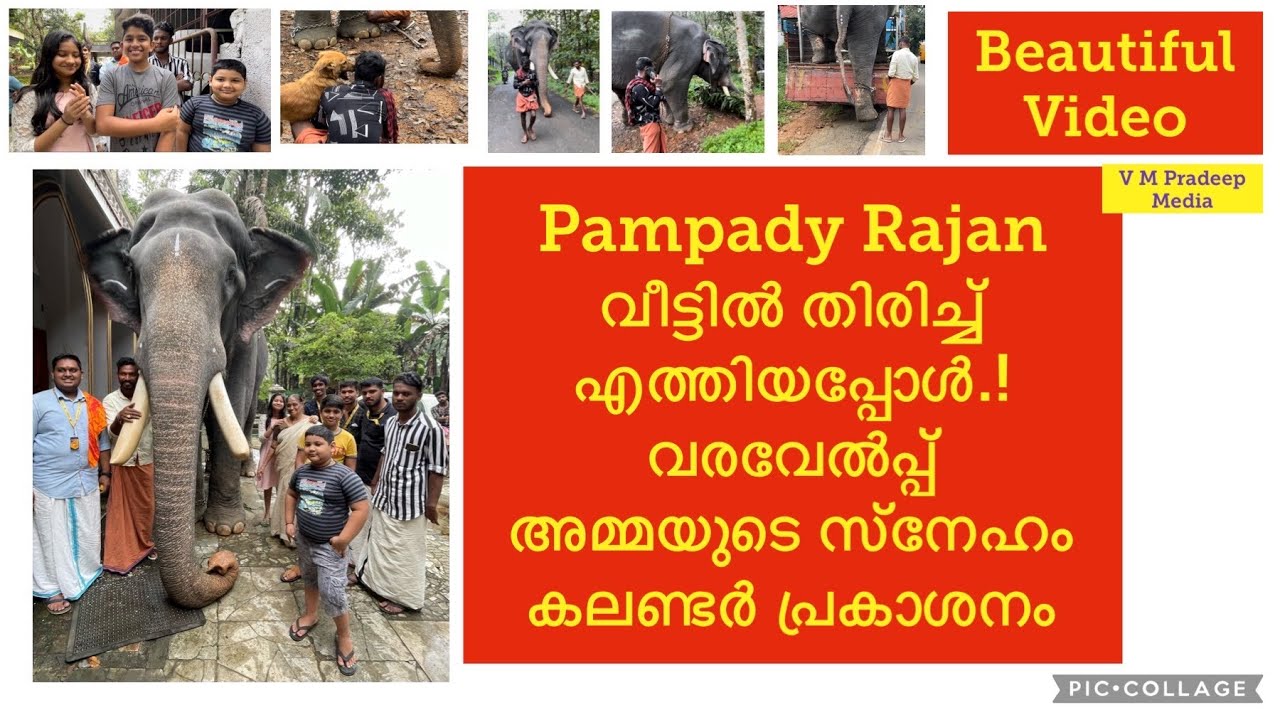 Pampadi Rajan വീട്ടിൽ എത്തിയപ്പോൾ അമ്മയുടെ സ്നേഹം വരവേൽപ്പ് VM Pradeep Media Elephant story