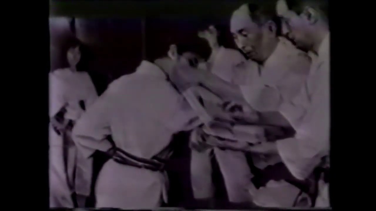 karate joelhadas e cotoveladas