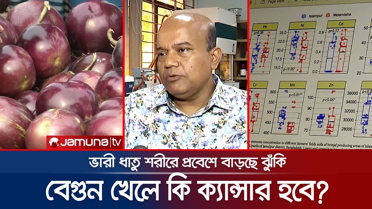 বেগুন খেলে বাড়ে ক্যান্সারের ঝুঁকি! যা বললেন বাকৃবি’র গবেষক | BAU | Research Team | Jamuna TV