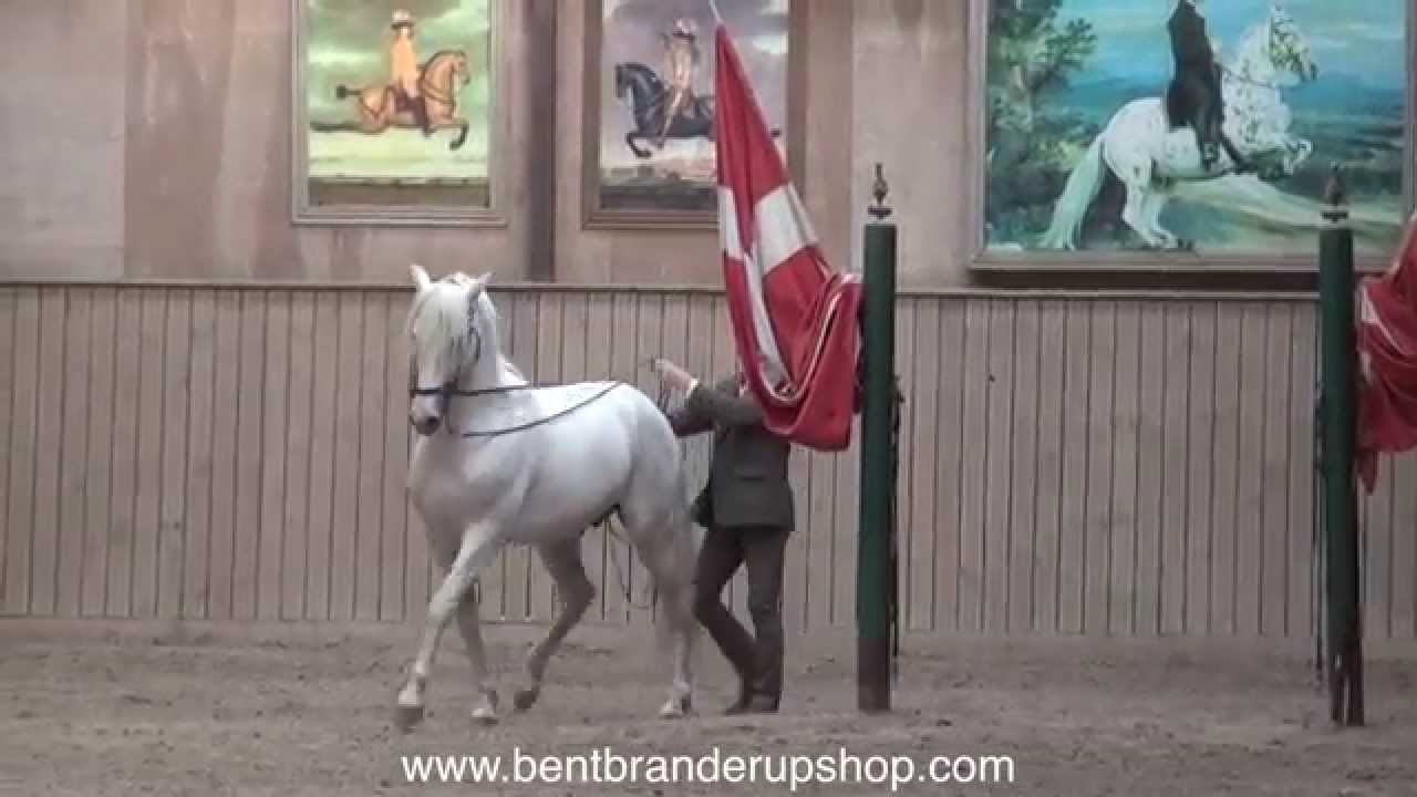 Bent Branderup, Long rein