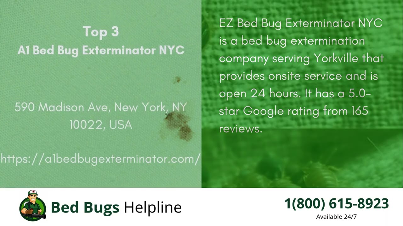 Top 3 Bed Bug Removal in Yorkville
