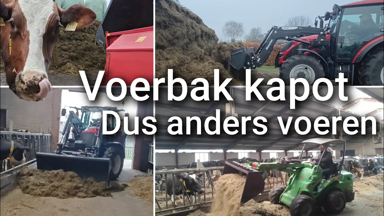 Voerbak kapot, daarom anders voeren... | Boer Gerrit vlogt 