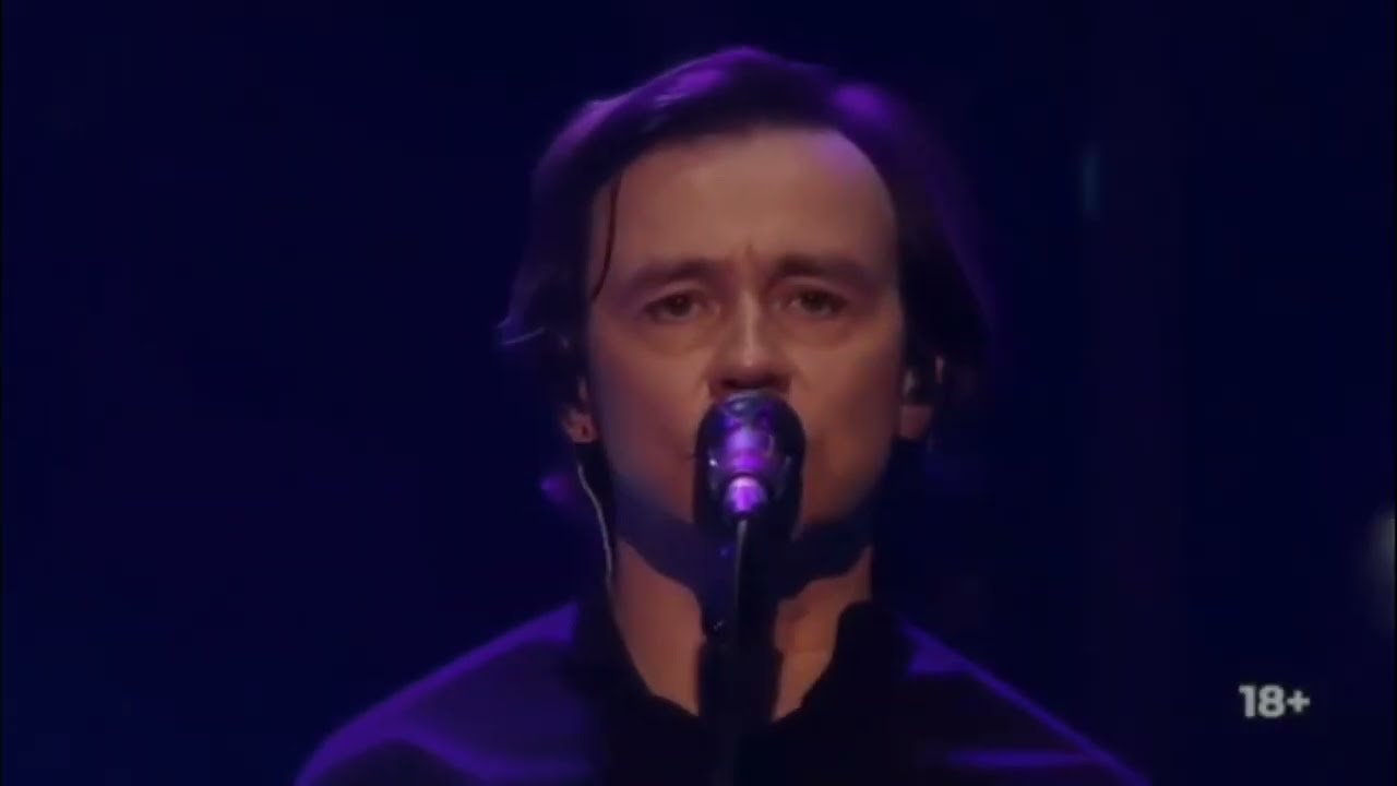 Дельфин / Серебро / Лайв |  Dolphin / Silver / Live 🎵 #music #dolphin #russiansong
