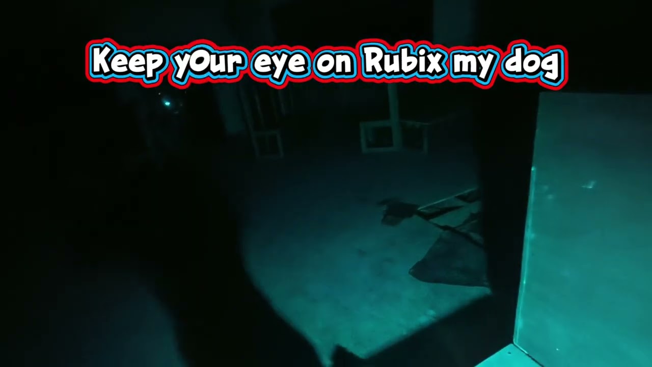 This is where the dog 🐕 pics up on the room of DOOM .  Must watch ⌚️ 👌 