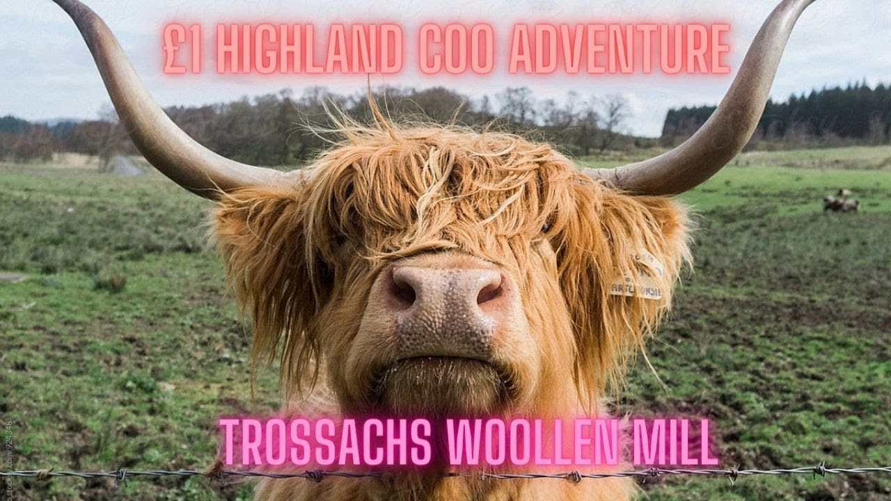 Trossachs Woollen Mill