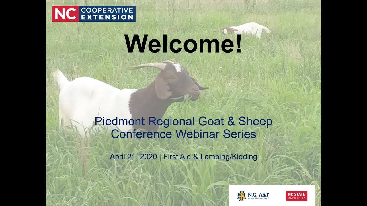 2020 Piedmont Regional Goat & Sheep Conference Webinar Series- First Aid & Lambing/Kidding