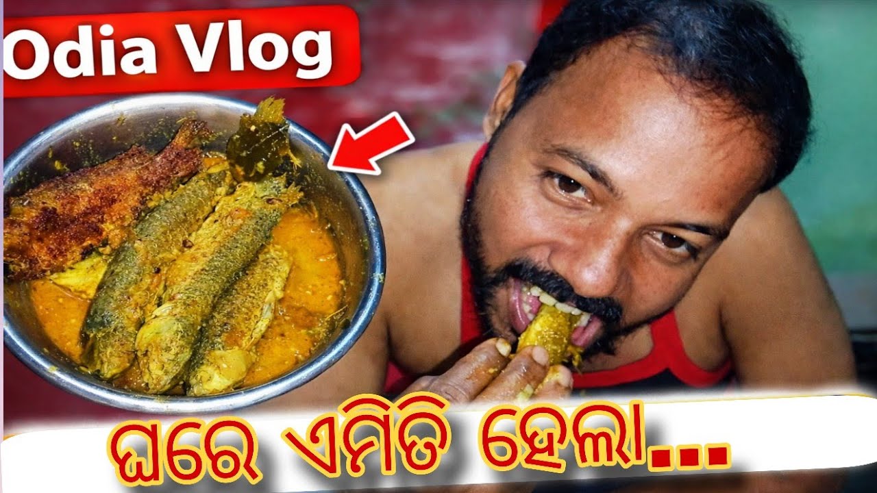 ଘରେ ଏମିତି ହେଲା 😲 | Odia Daily Vlog | Aji Ghare Kichi alaga #OdiaVlog#familyvlogs 